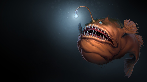 Angler fish